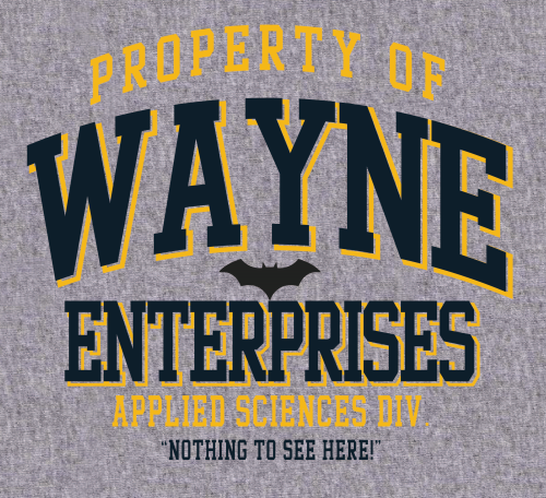 (image for) Wayne Enterprises T-Shirt